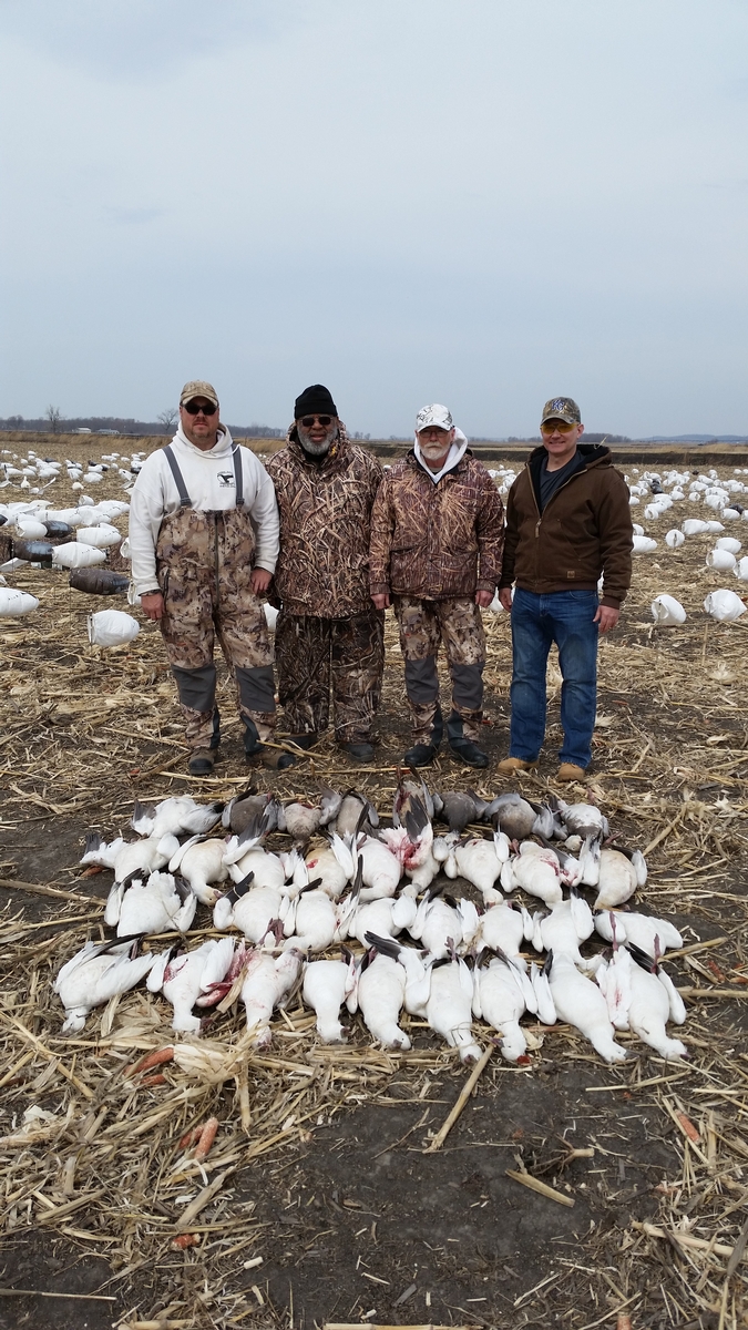 Missouri Snow Goose Hunting Photo